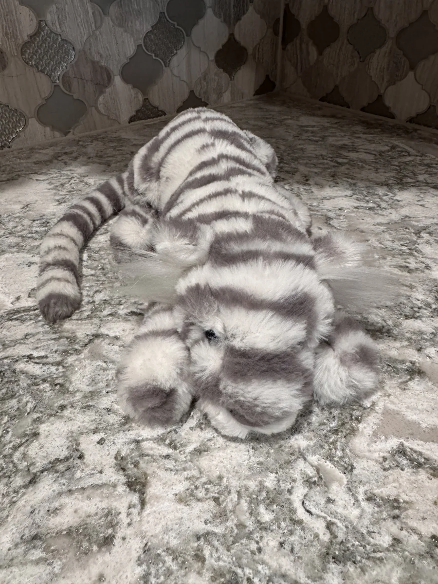 Front - Sacha Snow Tiger - Little photo by SnowLeopard821