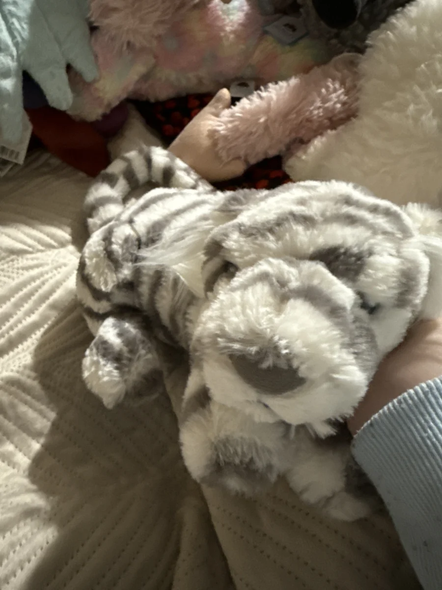 Front - Sacha Snow Tiger - Little photo by Alivia123