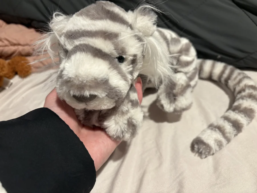 Front - Sacha Snow Tiger - Little photo by Lex_suckow