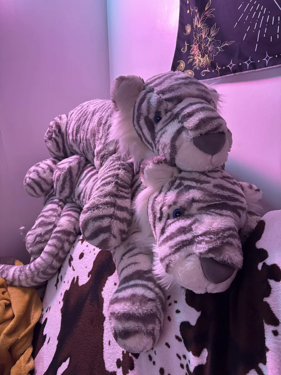Front - Sacha Snow Tiger - Really Big photo by sablelovesjelly