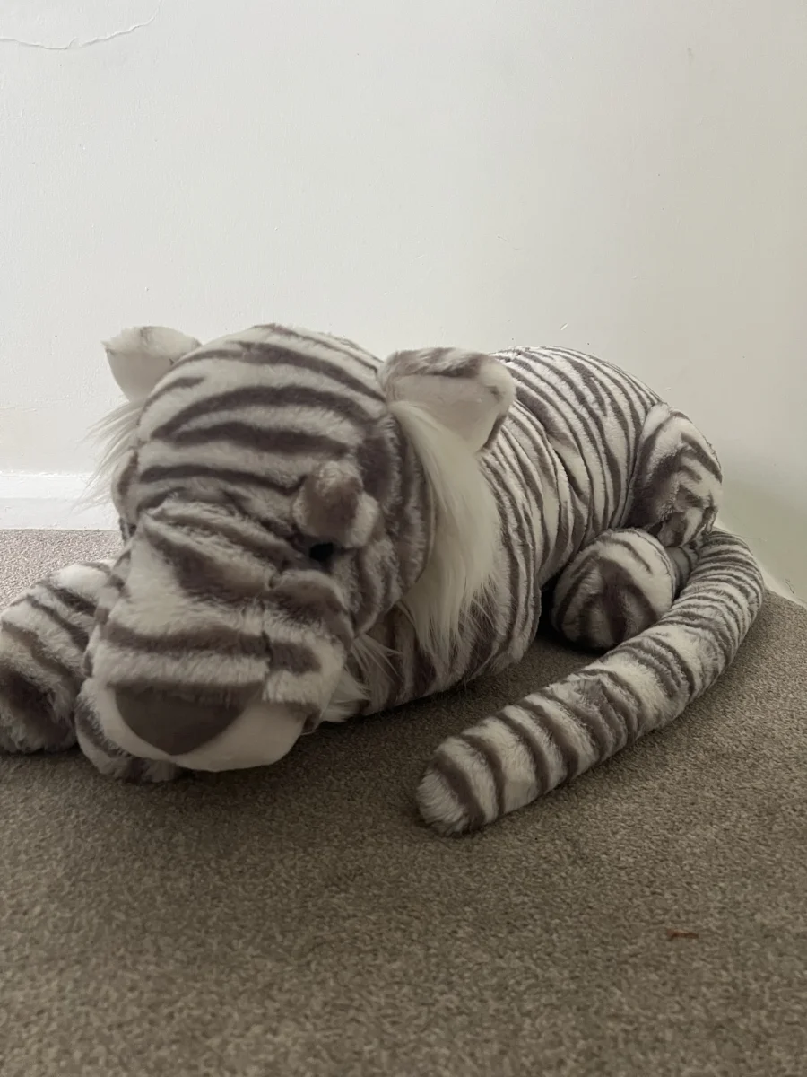 Front - Sacha Snow Tiger - Really Big photo by Axel