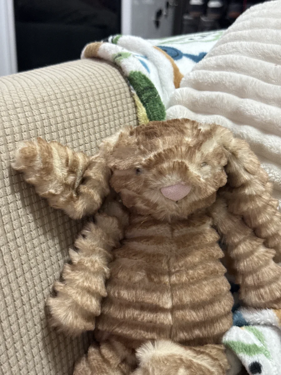 Front - Bashful Luxe Bunny Juniper photo by Casapage
