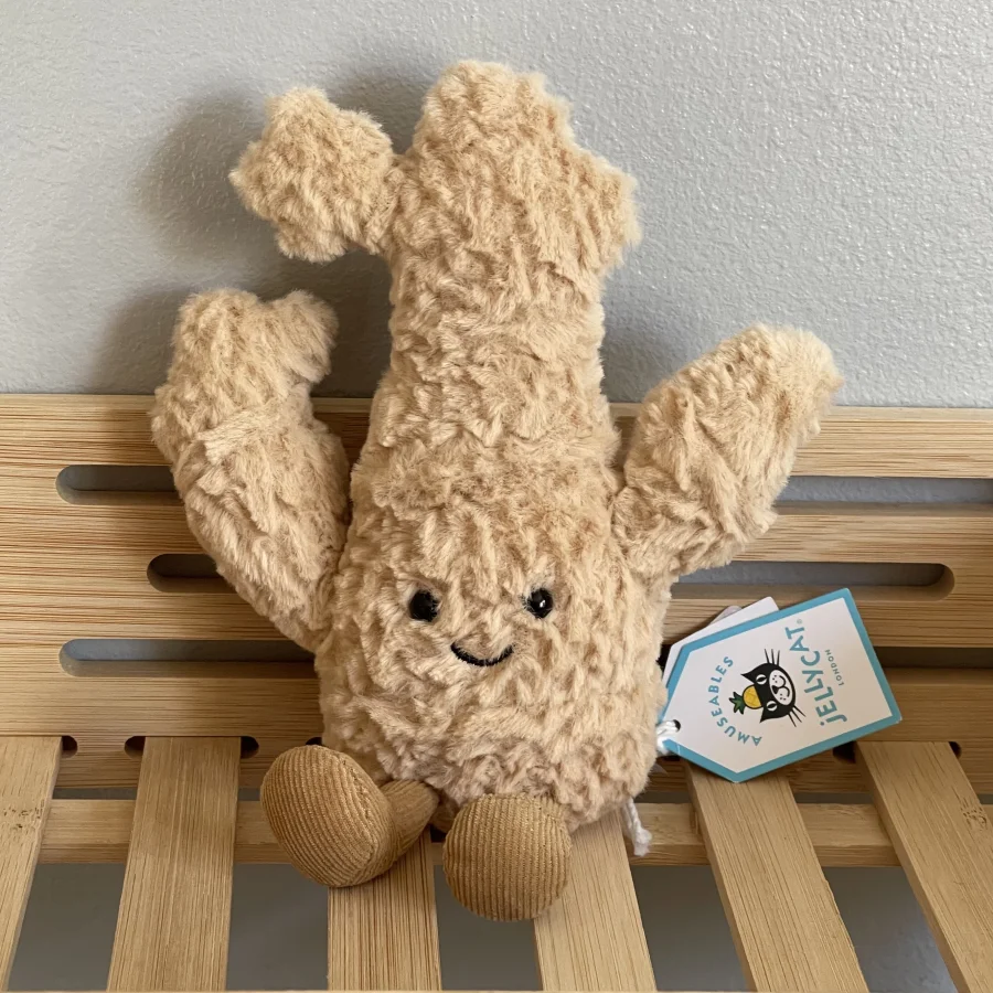Front - Amuseables Ginger photo by charlotteriddettepage