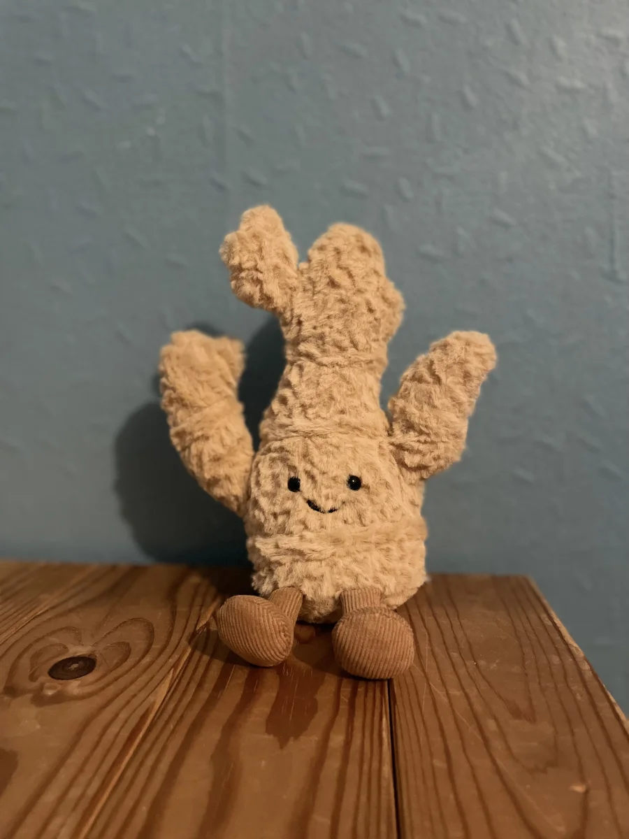 Front - Amuseables Ginger photo by cerys.lyne