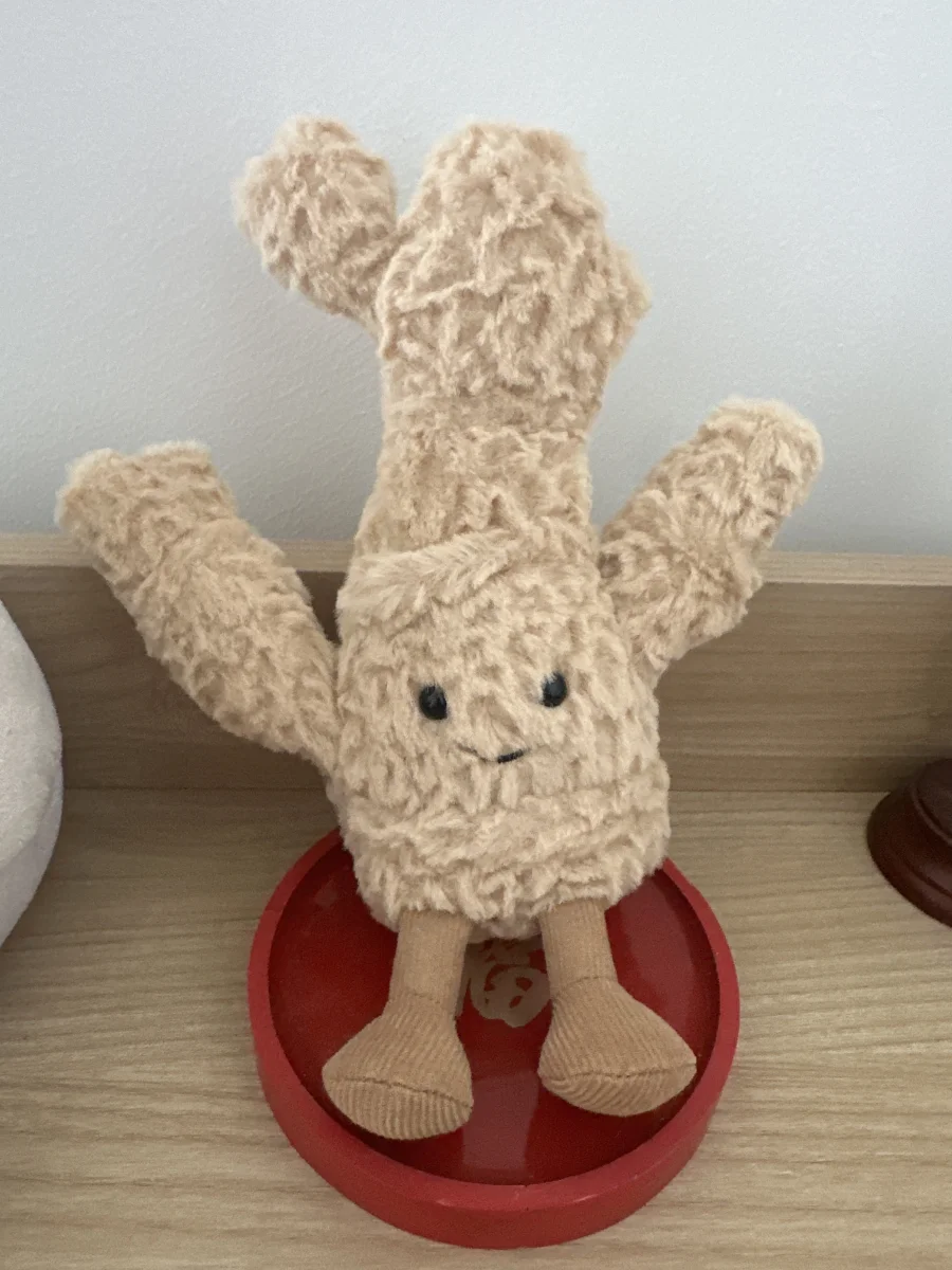 Front - Amuseables Ginger photo by Gwynval