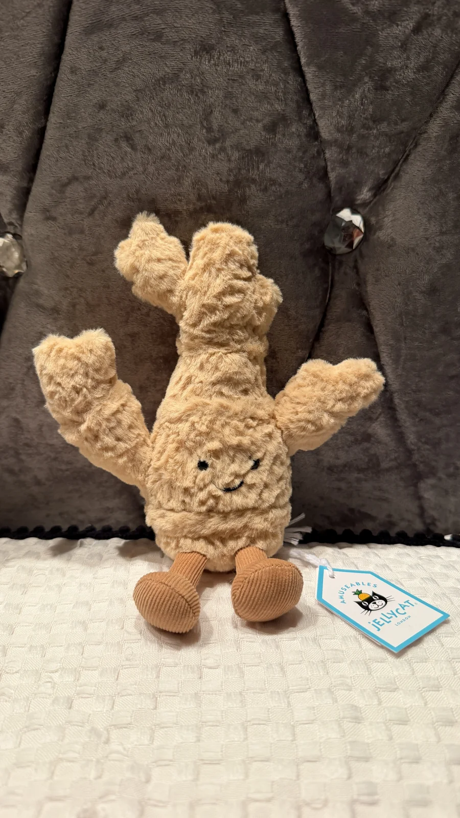 Front - Amuseables Ginger photo by Tayy_jc