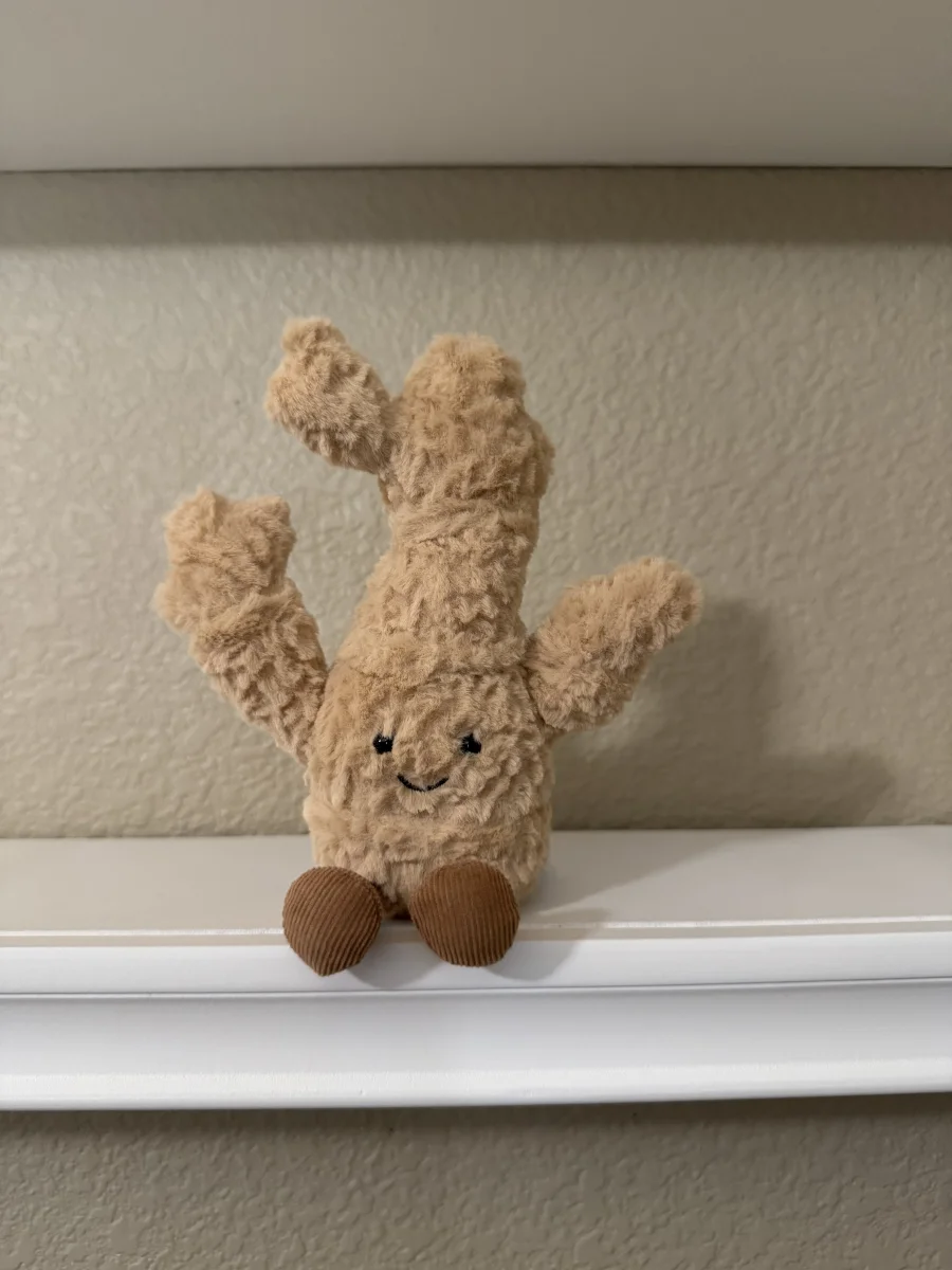 Front - Amuseables Ginger photo by jelly_kayla