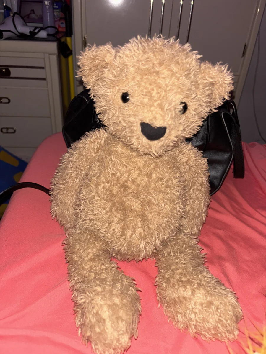 Front - Theodore Bear - Medium photo by MommyNCharJelly