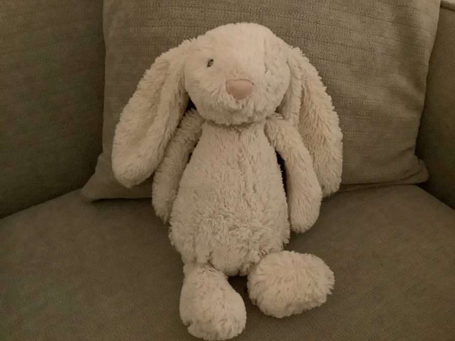 Front - Bashful Buttermilk Bunny - Medium photo by Sophiatunni4567