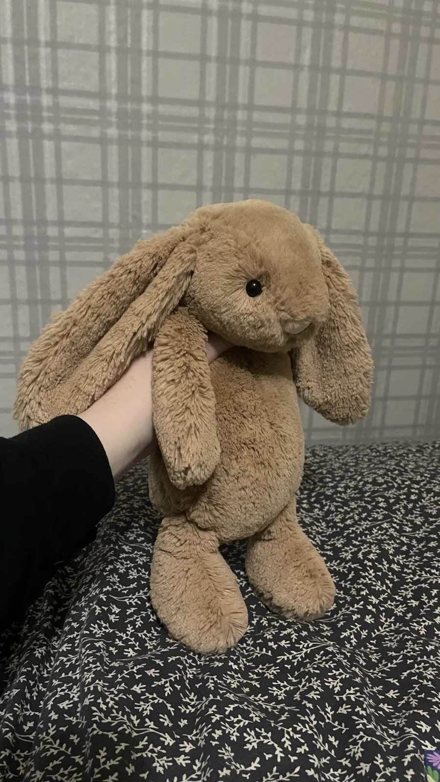 Front - Bashful Biscuit Bunny - Medium photo by thecolourcoral