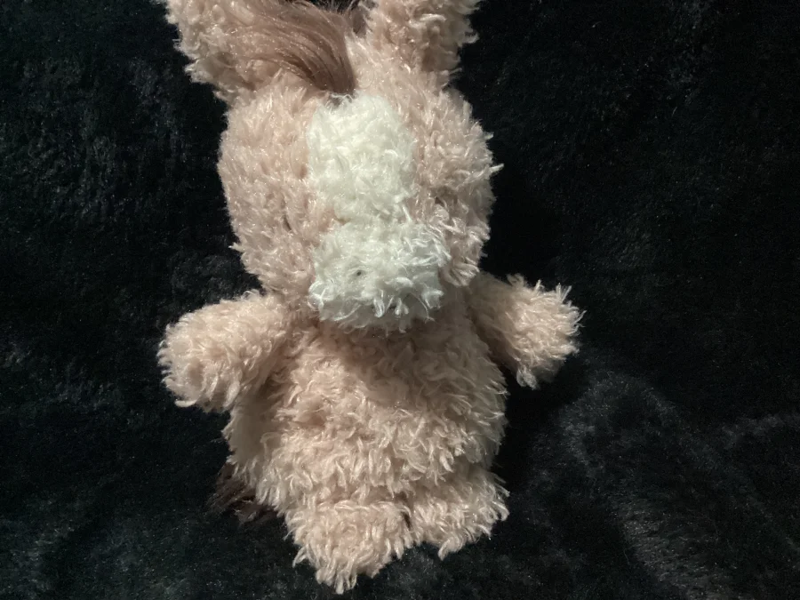 Front - Little Horse photo by Jellybunnys1984