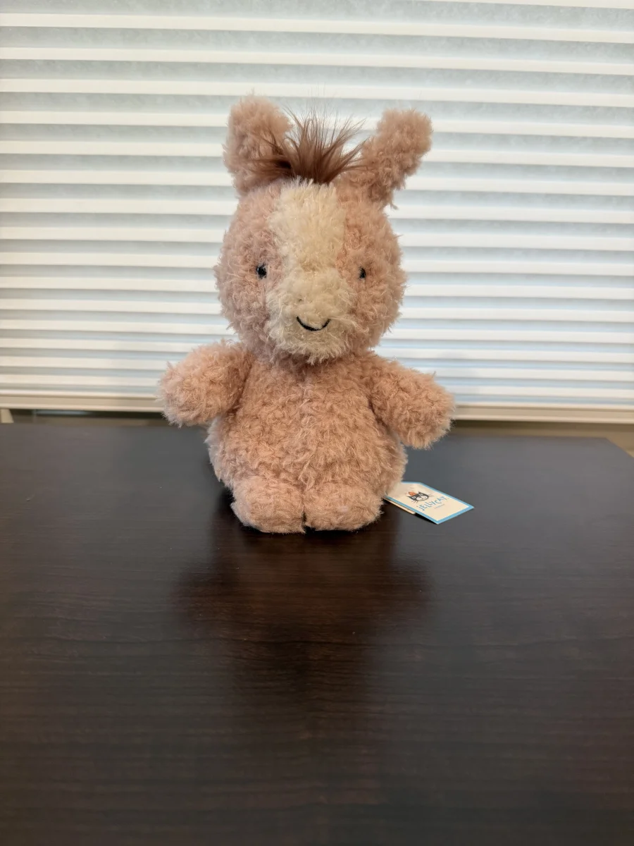 Front - Little Horse photo by Bunnylove
