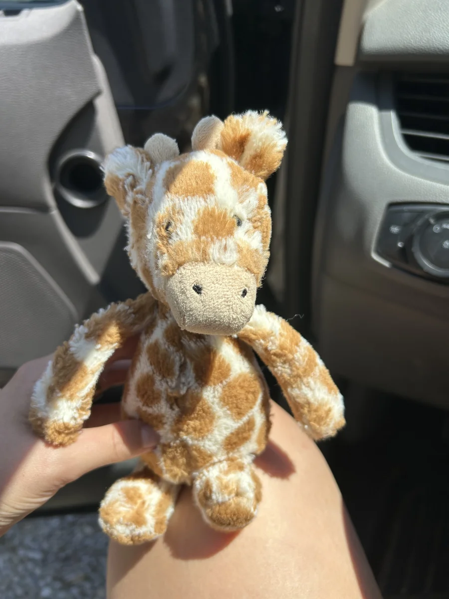 Front - Bashful Giraffe - Small photo by averyd2003