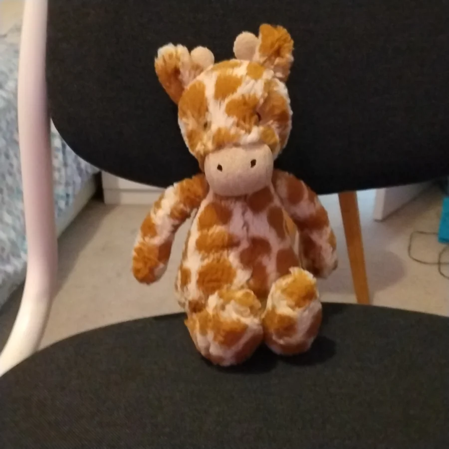 Front - Bashful Giraffe - Small photo by TheJellyCollector