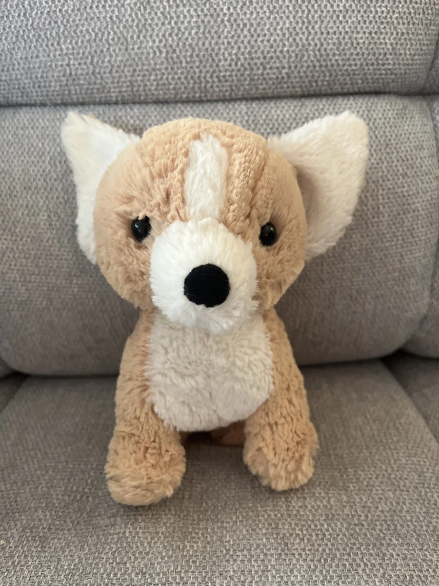 Front - Isobel Chihuahua photo by Mayajellycats13