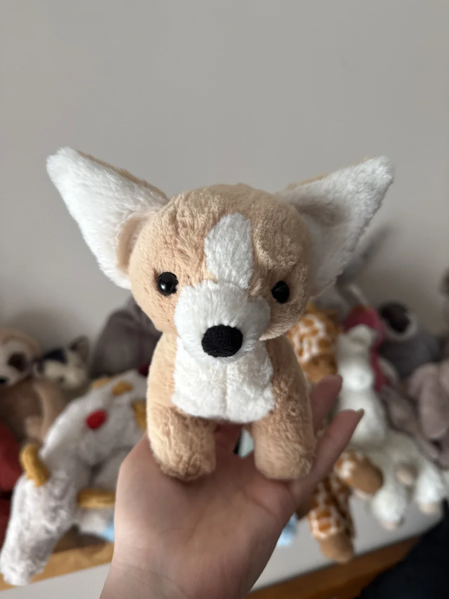 Front - Isobel Chihuahua photo by JellyElenJoy