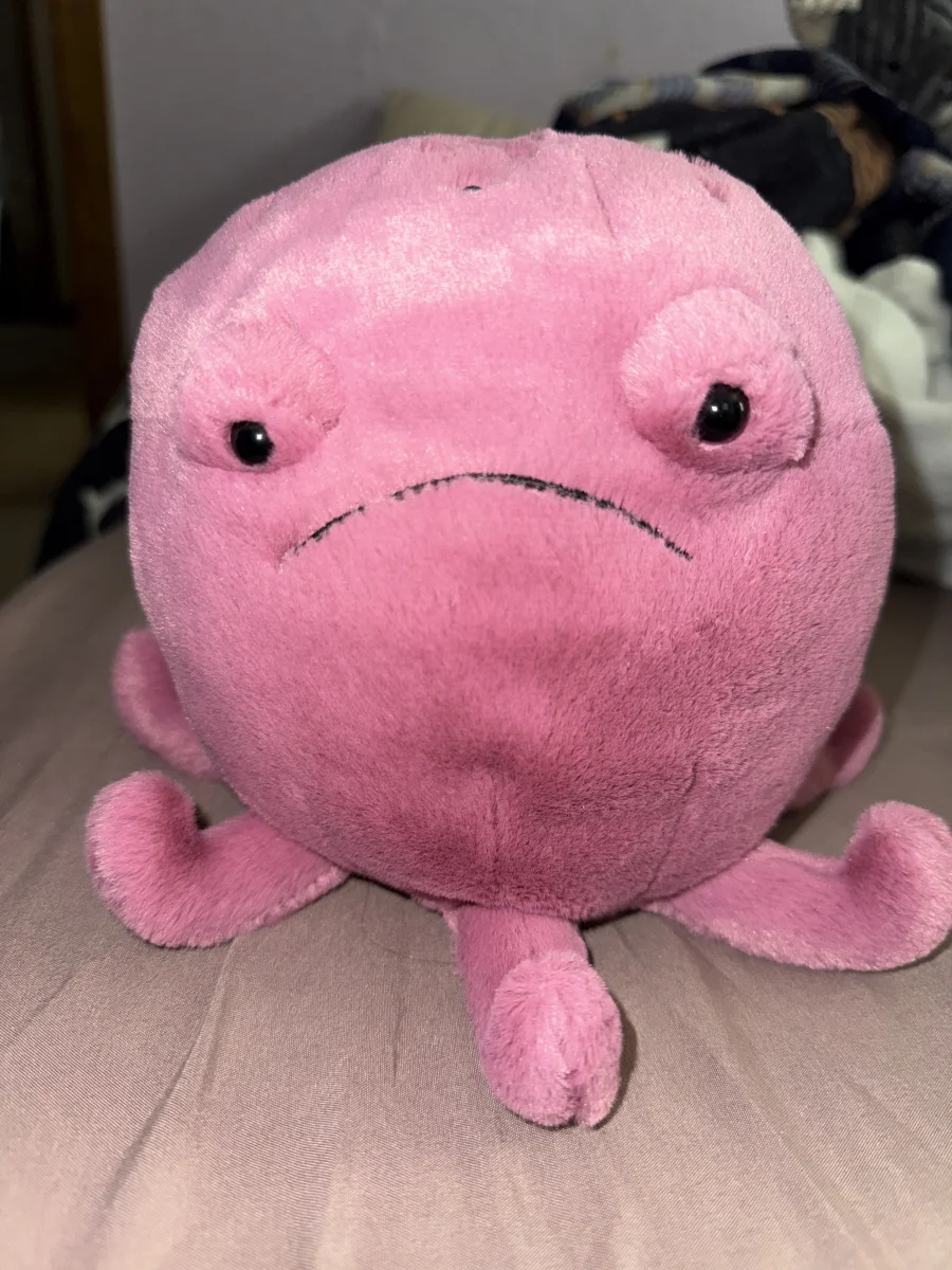 Front - Ondre Octopus photo by Lexijoyce
