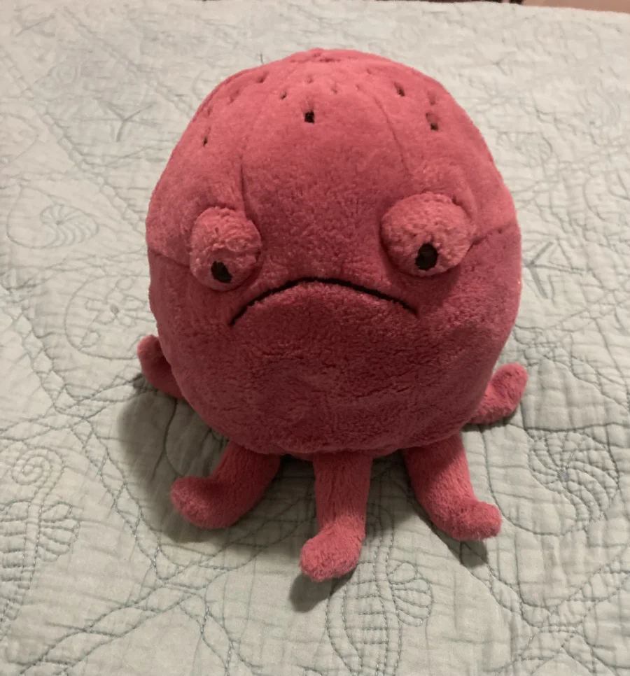 Front - Ondre Octopus photo by AzurePhoenix