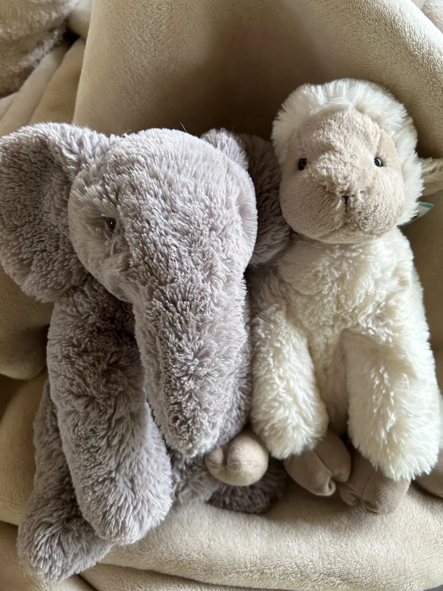 Lifestyle - Emile Elephant - Medium photo by Babygelfling