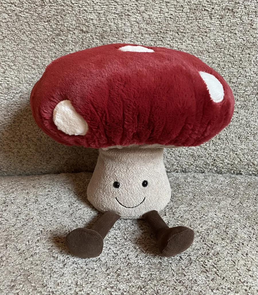 Front - Amuseables Mushroom photo by JellyDragonLover