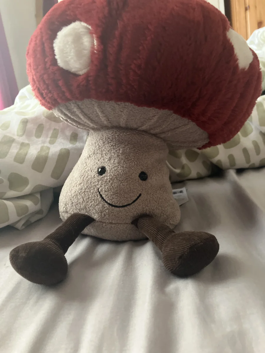 Front - Amuseables Mushroom photo by Astral