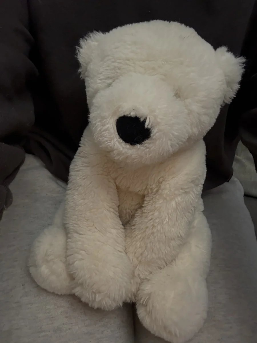 Front - Perry Polar Bear - Medium photo by Natashajade