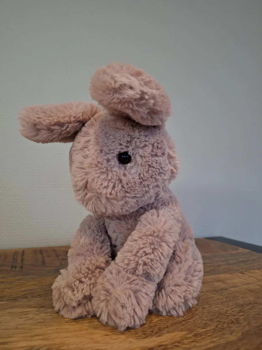 Front - Starry-Eyed Bunny photo by Sofie