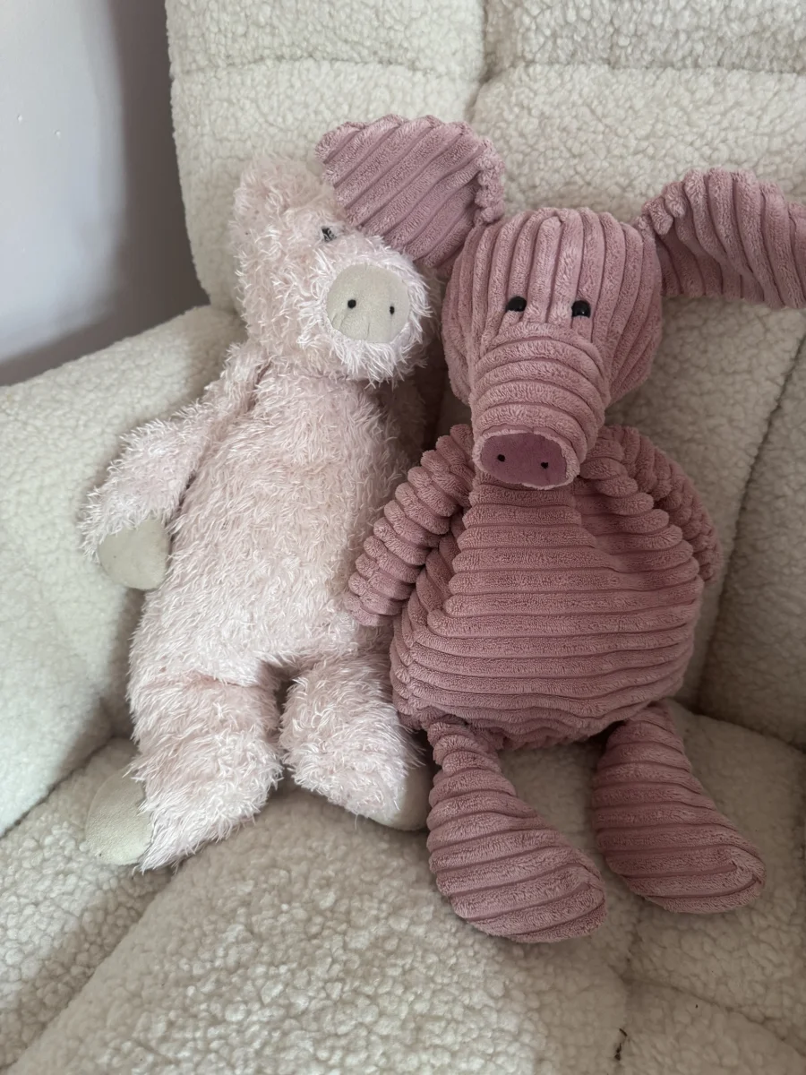 Front - Cordy Roy Pig - Medium photo by Issyoli