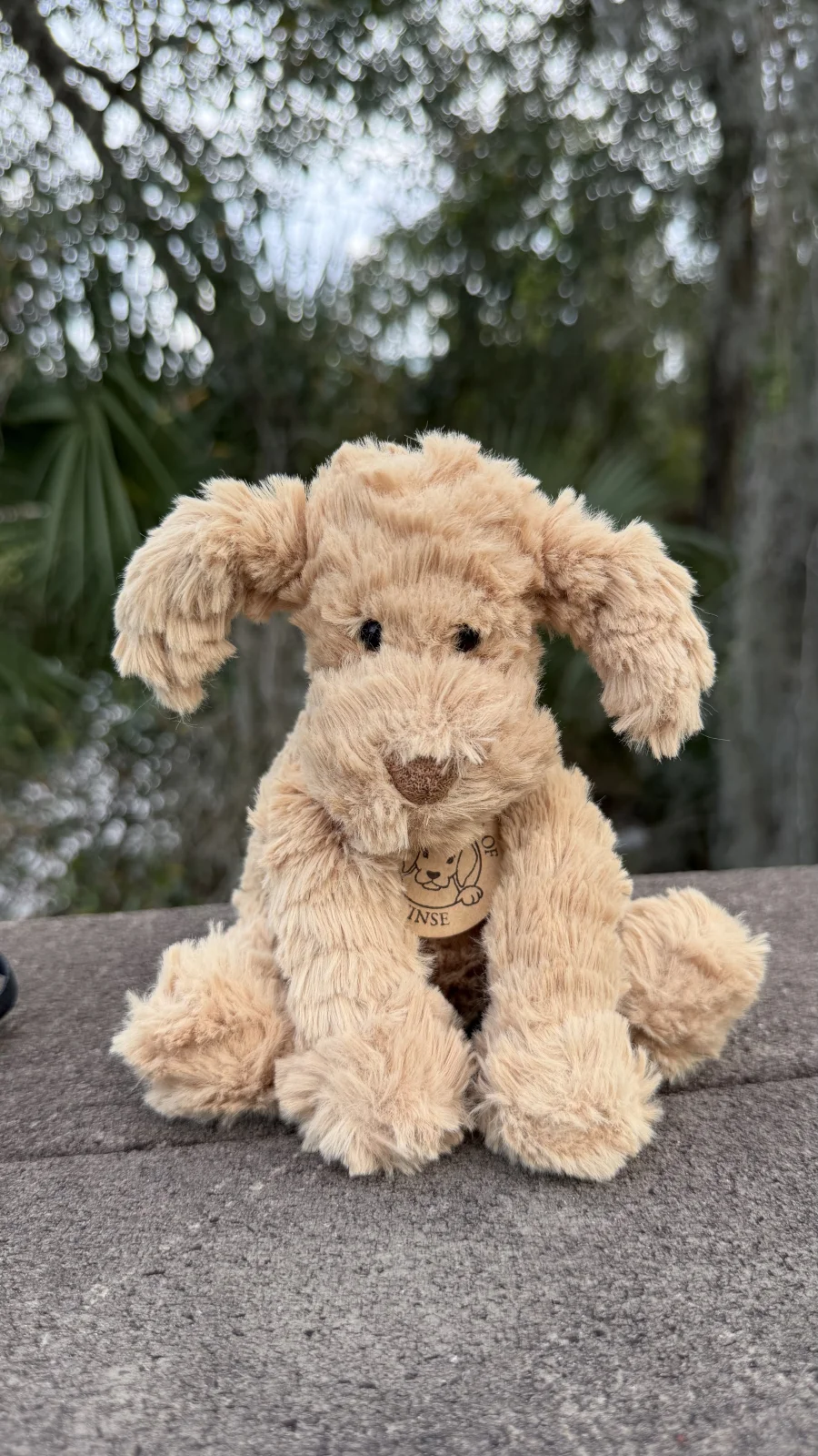 Front - Fuddlewuddle Puppy - Small photo by bronzieandthejellies