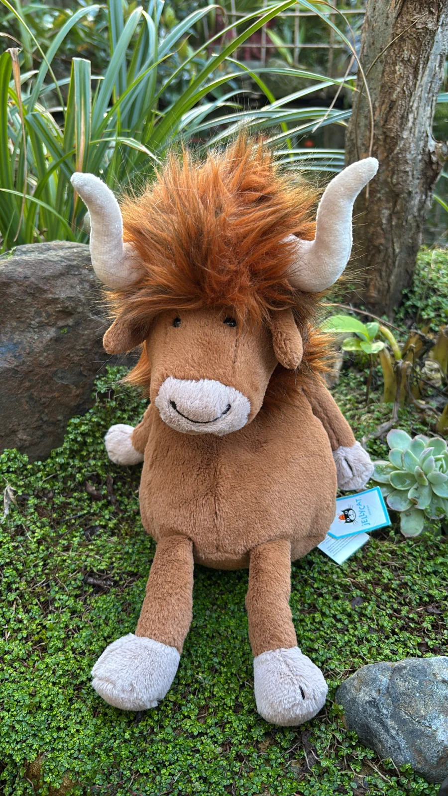 Front - Ramone Bull photo by Jelly_Journey