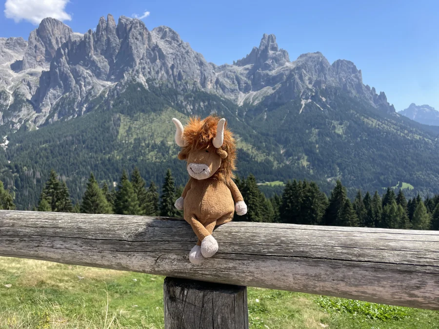 Front - Ramone Bull photo by Bull_and_bunny