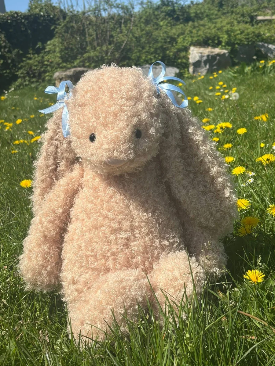 Front - Bashful Luxe Bunny Curly - Huge photo by WelshSwiftie