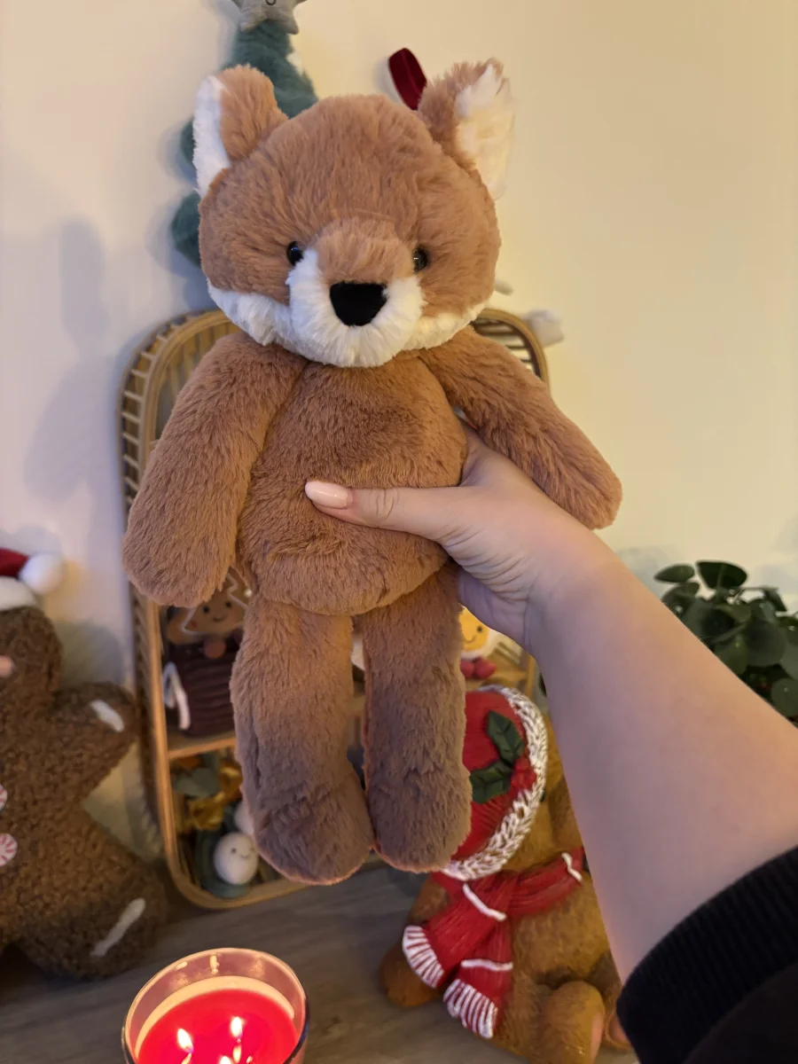 Front - Beckett Fox - Medium photo by the_jelly_jungle