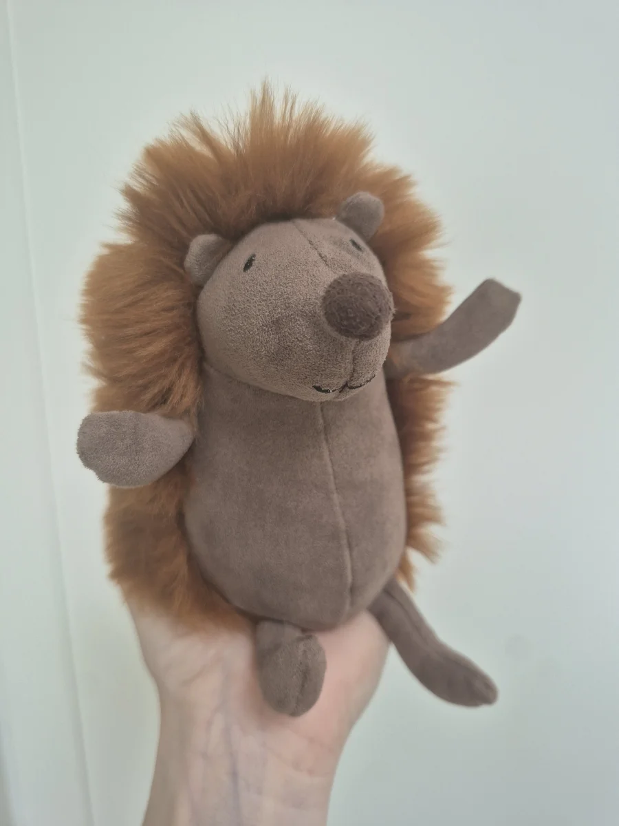 Front - Suedetta Hedgehog photo by Jellyjoy2