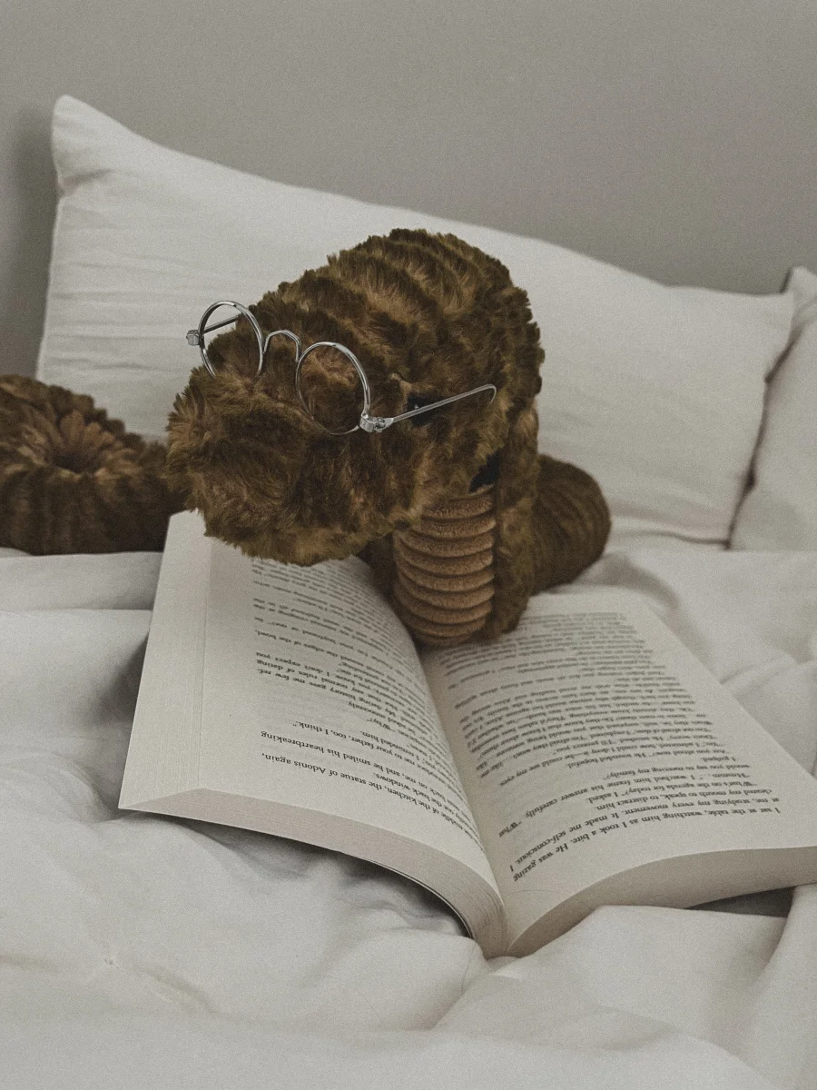 Lifestyle - Slither Snake photo by LovelyChicken