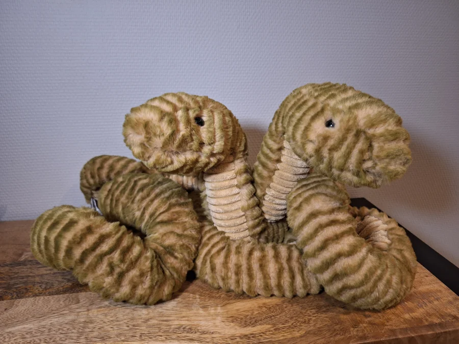 Front - Slither Snake photo by Sofie