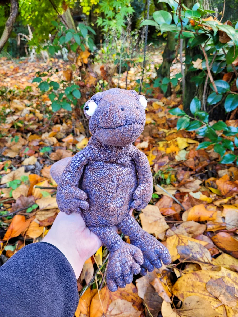 Lifestyle - Kenny Komodo Dragon photo by Dutchjellycats