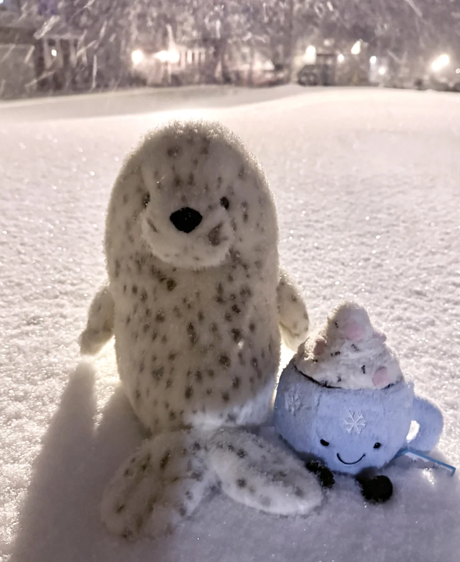 Front - Galumphous Seal photo by catycake