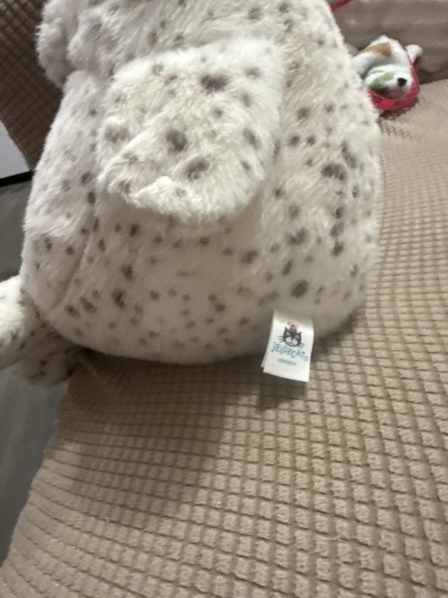 Tag - Galumphous Seal photo by Casapage