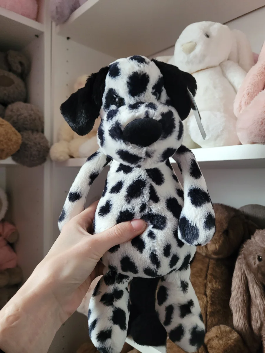 Front - Bashful Dalmatian photo by Kitsfae