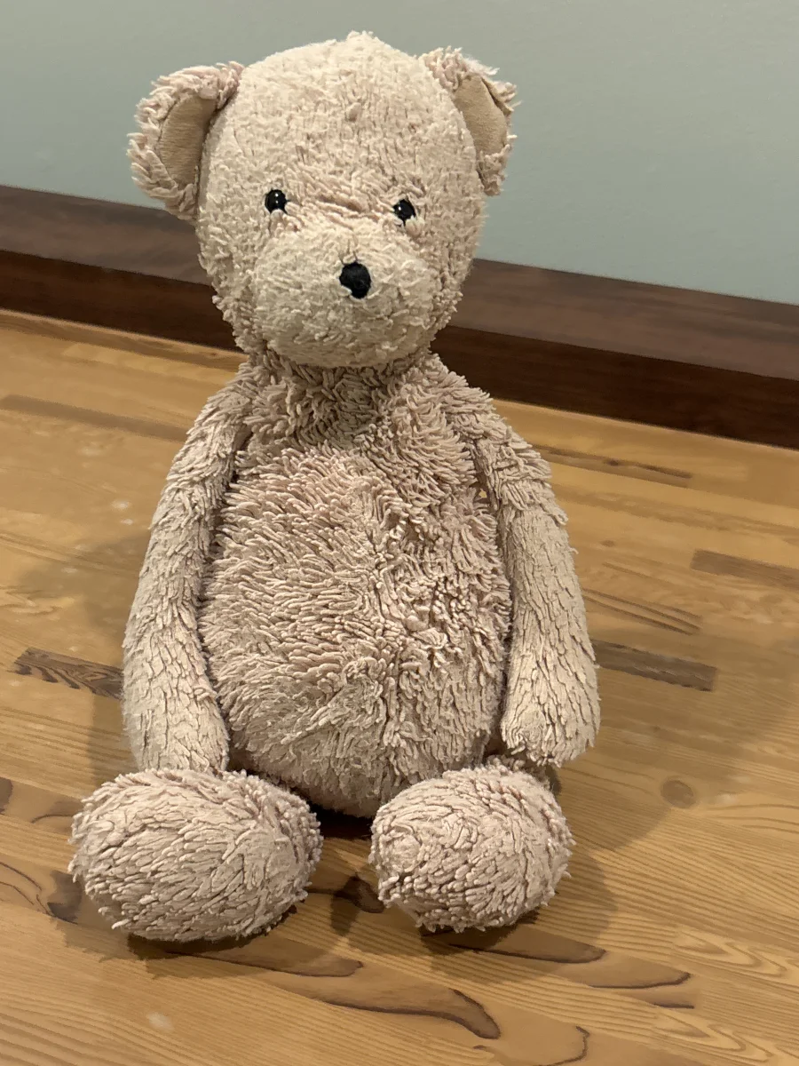 Front - Bashful Honey Bear photo by EatCrayonsBoy