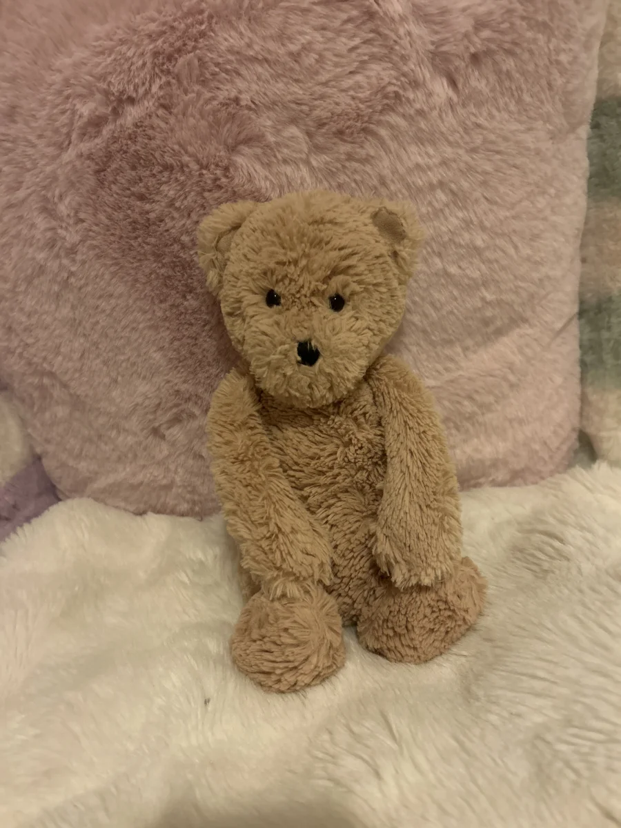 Front - Bashful Honey Bear photo by nova_2008