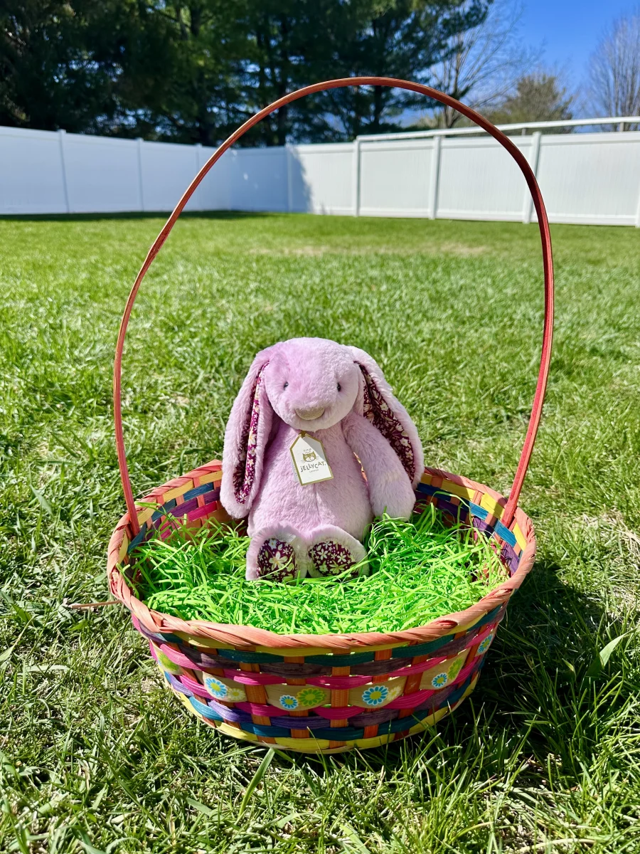 Lifestyle - Thistlepop Blossom Luxe Bunny photo by kc_plushies
