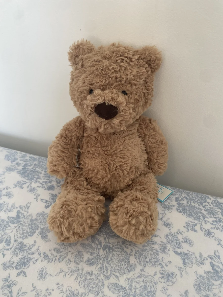 Front - Bumbly Bear - Small photo by JellyByRaee_11