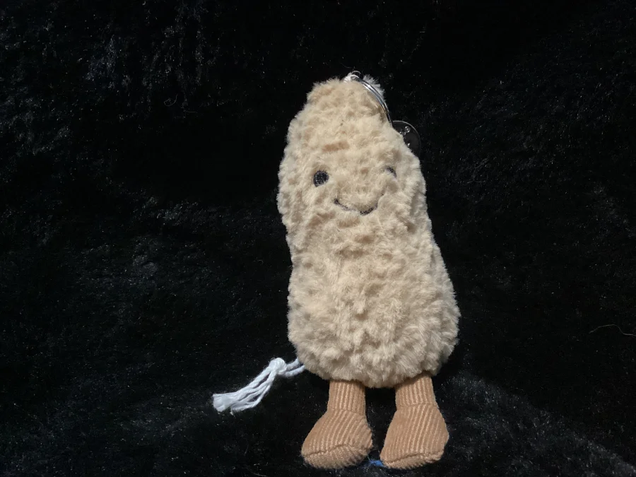 Front - Amuseables Peanut Bag Charm photo by Jellybunnys1984