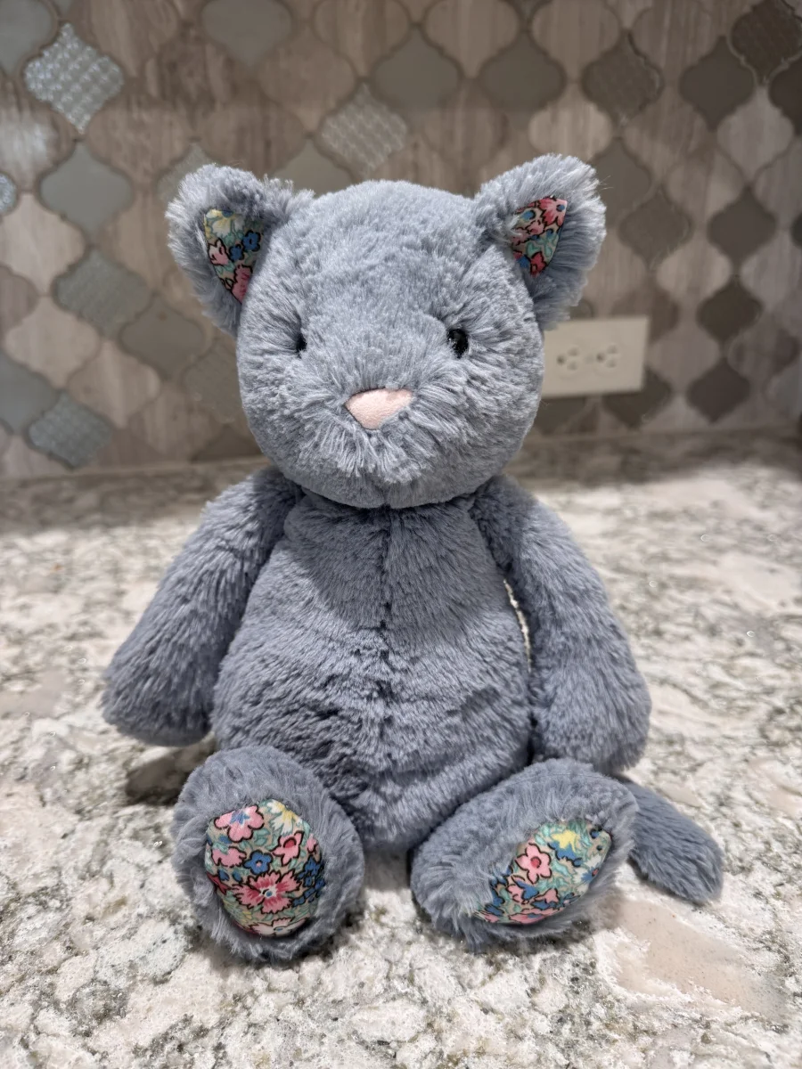 Front - Blossom Kitten - Medium photo by SnowLeopard821