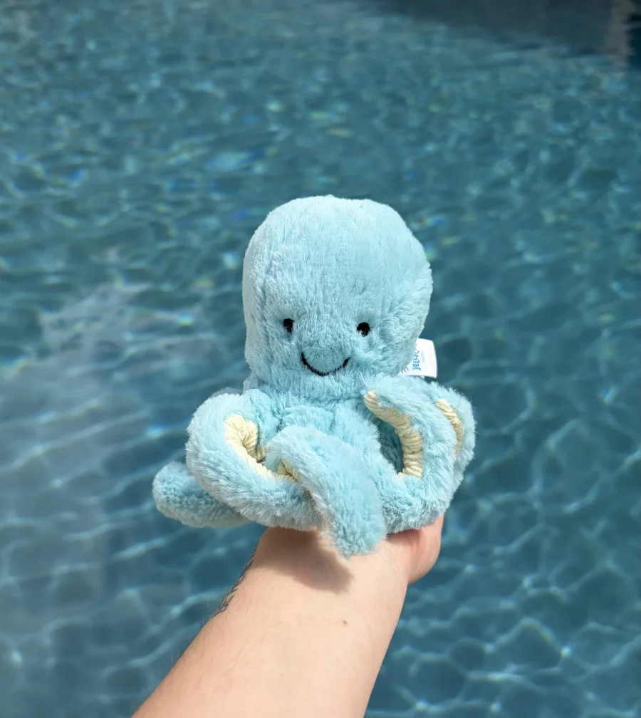 Front - Bobbie Octopus photo by AmberrGolden