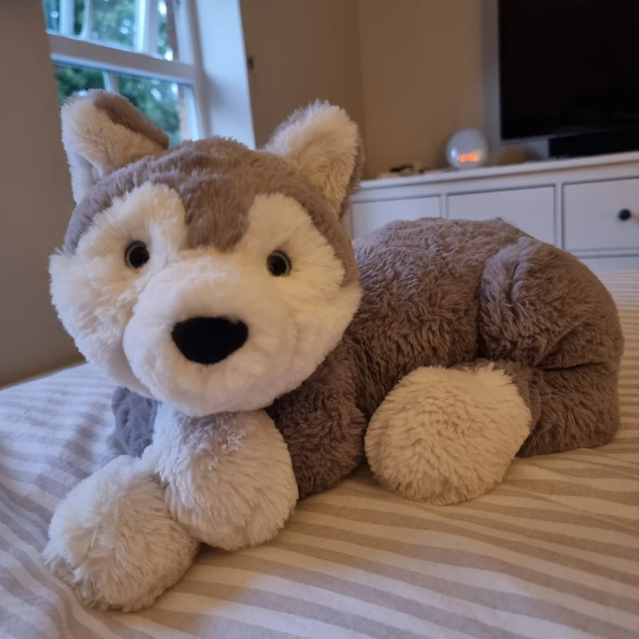 Front - Hudson Husky - Large photo by Pachicat
