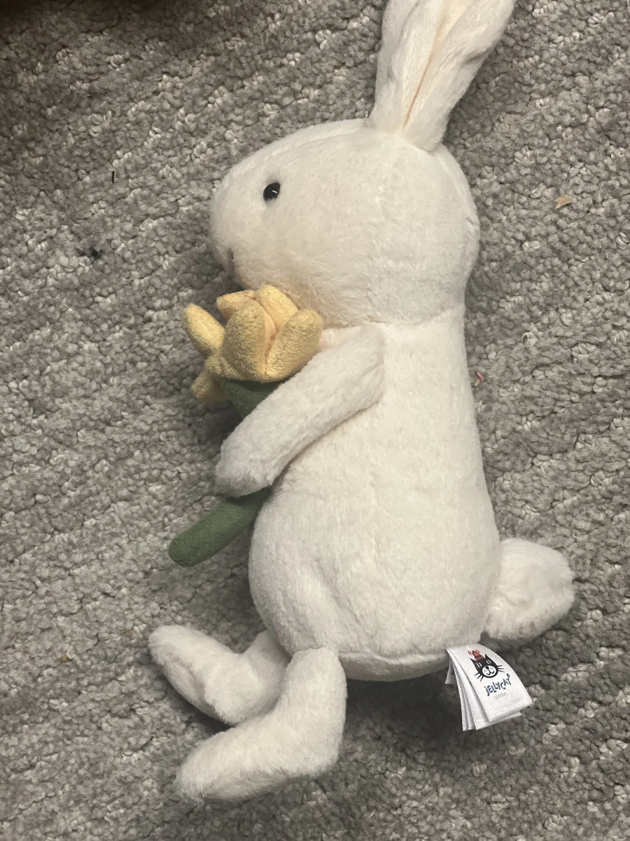Side - Bobbi Bunny with Daffodil photo by Awilly33