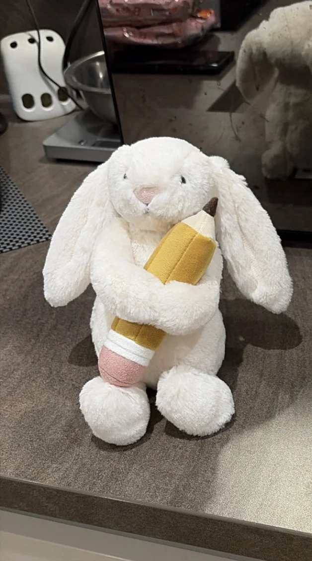 Front - Bashful Bunny with Pencil photo by Seni113